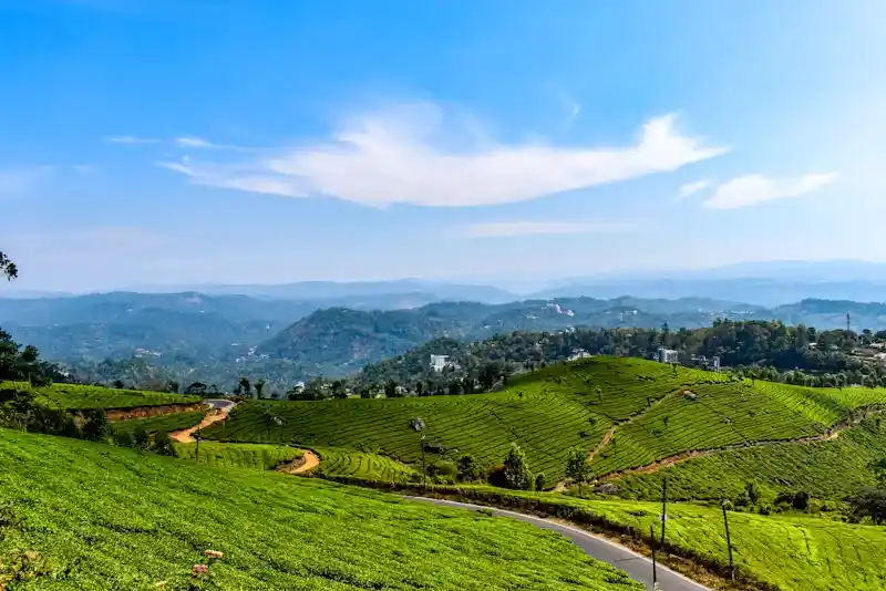 Munnar travel destination